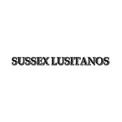 Company-logo-for-Sussex-Lusitanos