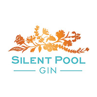 Company-logo-for-silentpools
