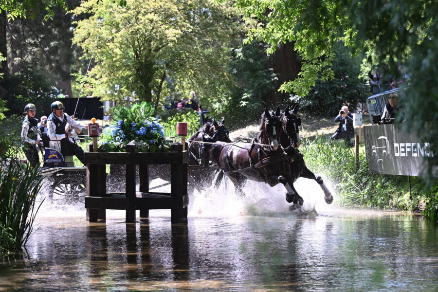 horses cantering through water with a carriage