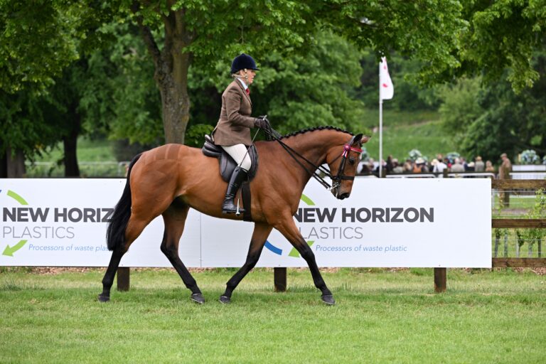 A Bumper Year for Entries: Our Ones to Watch | Royal Windsor Horse Show