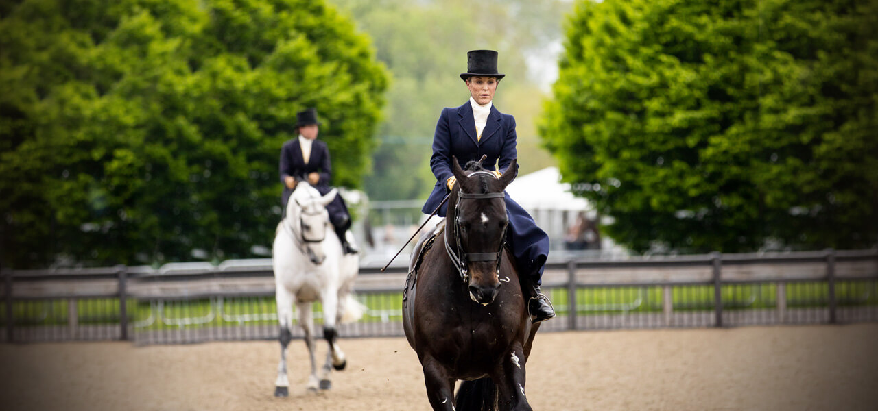 Endurance  Royal Windsor Horse Show