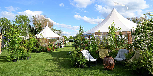 Garden Hub Tent with greenery
