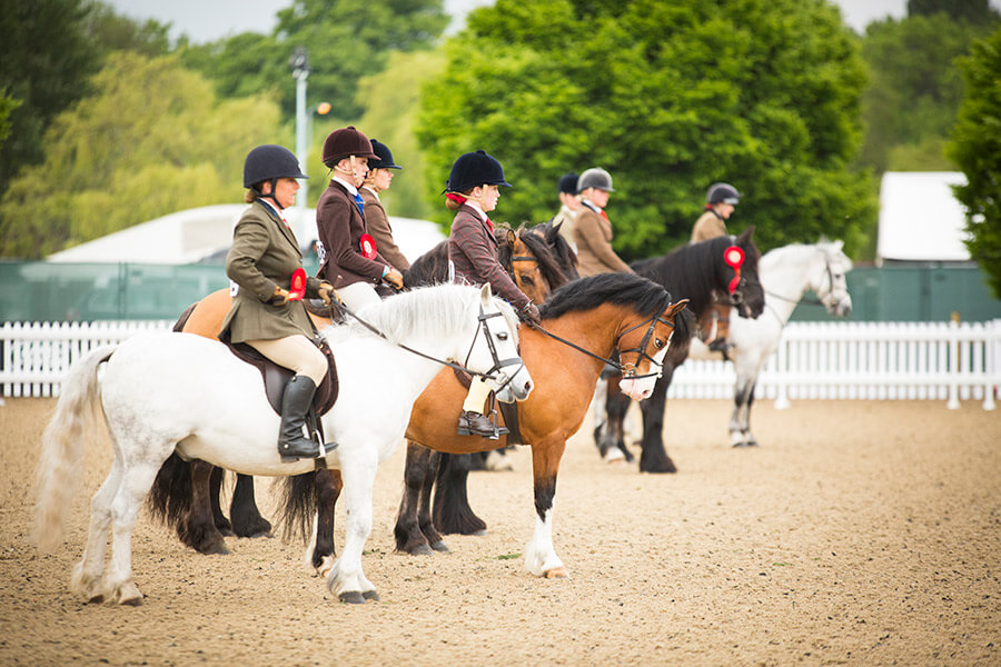 Royal Windsor Horse Show image