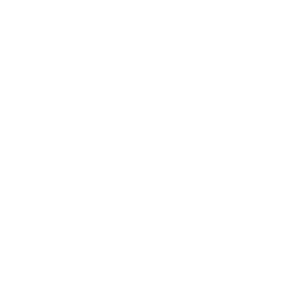 Equus logo