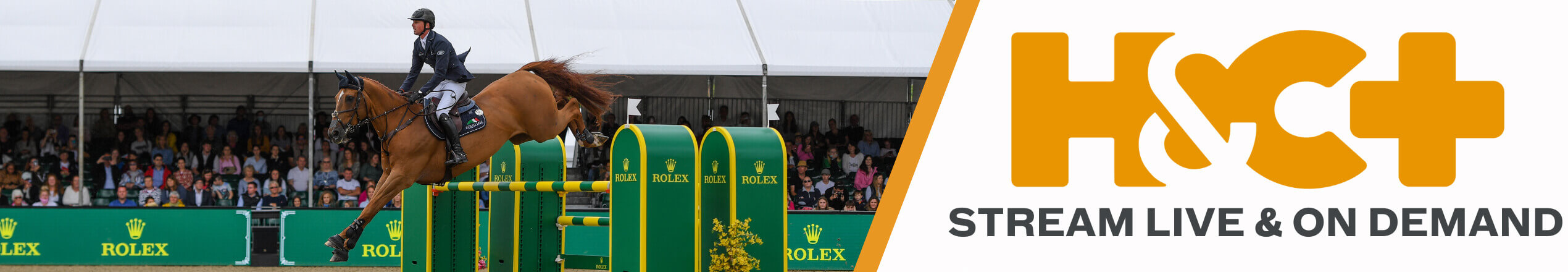 RWHS-2025-website-banner-H&C