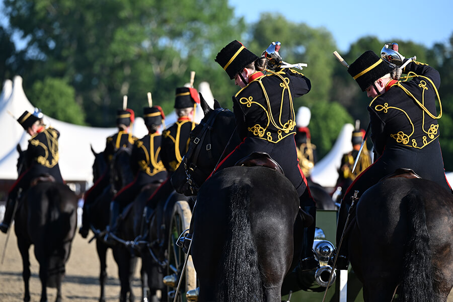 RWHS-2026-Whats-On-Displays-900x600-Kings-Troop