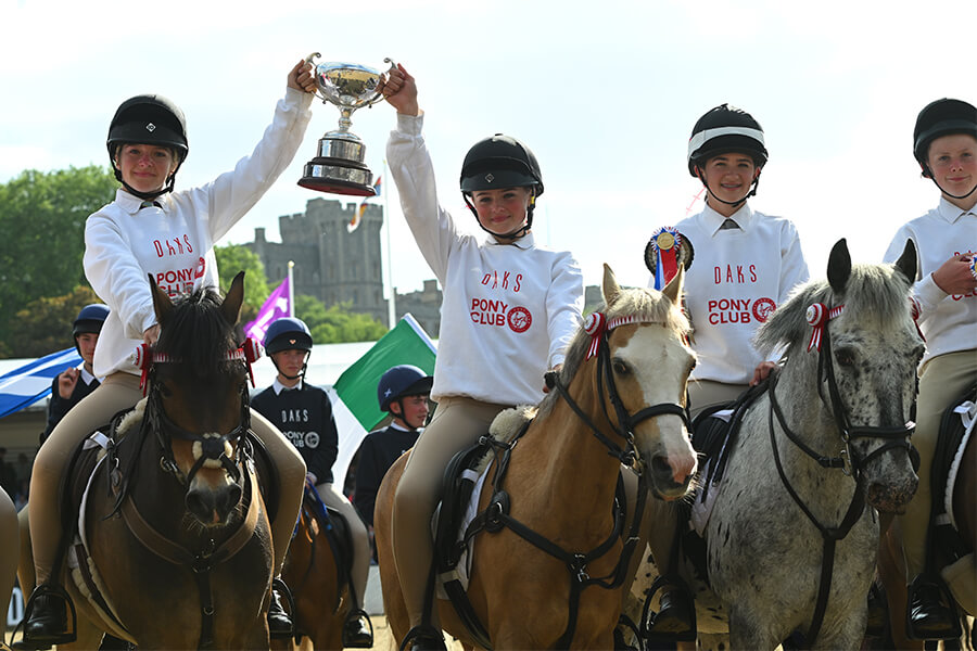 RWHS-2026-Whats-On-Displays-900x600-Pony-Club