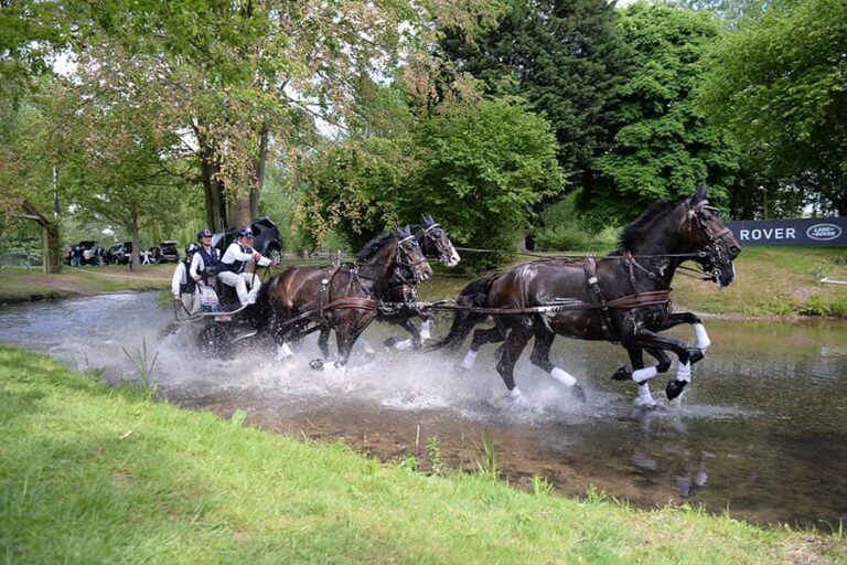 Royal Windsor Horse Show Sunday Programme • Royal Windsor Horse Show