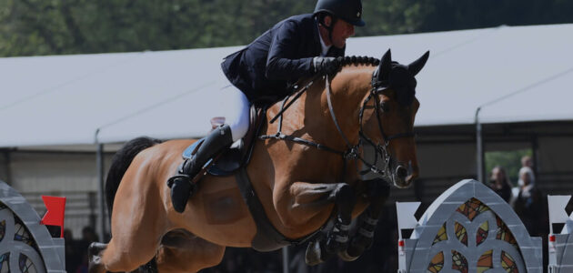 Show Jumping (National)