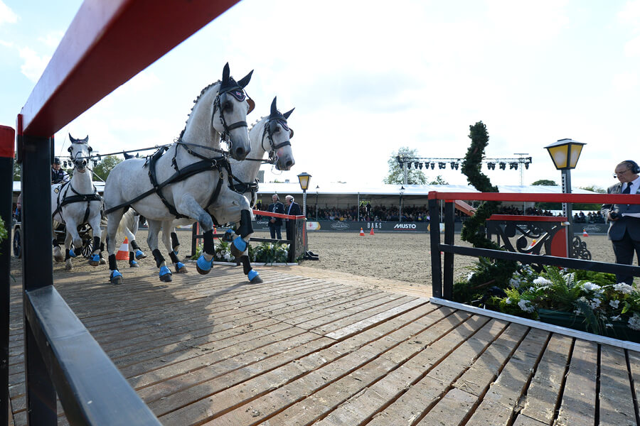 Whats-On-Displays-Drive-and-Drive