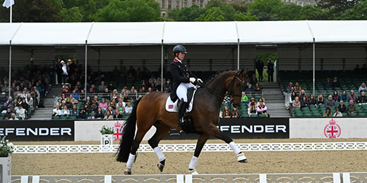 becky moody riding dressage