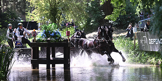 horses cantering through a lake with a carriage