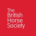 Company-logo-for-BHS