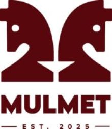 Company-logo-for-Mulmet-International-Ltd