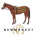 Company-logo-for-Newmarket-875