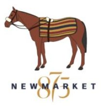 Company-logo-for-Newmarket-875