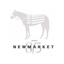 Company-logo-for-Newmarket-875