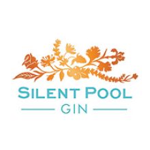 Company-logo-for-silentpools